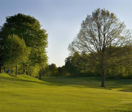 Skogsbana i Skåne Wittsjö Golfklubb